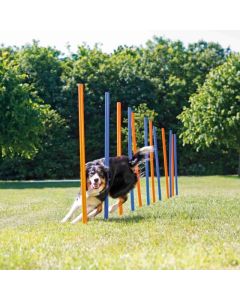 Trixie: Agility prepreke, 12 kom