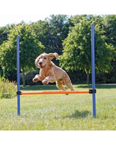 Trixie: Agility prepona