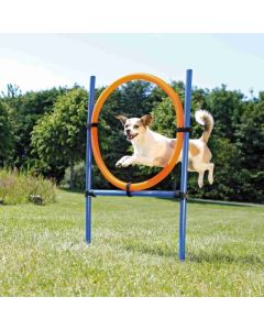 Trixie: Agility krug