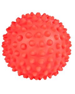 Trixie: Ježasta loptica