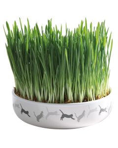 Trixie: Keramička činija za mačju travu 