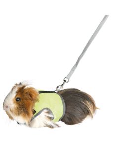 Trixie: Povodac i am za morsko prase