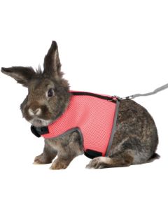 Trixie: Povodac i am namenjen zečevima