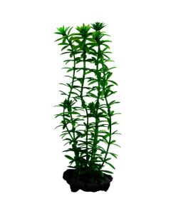 Tetra: Veštačka trava za akvarijum Anacharis