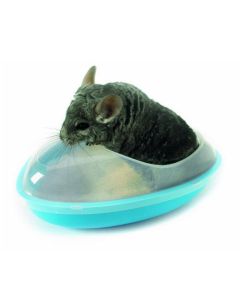 Nobby: Kada za činčile