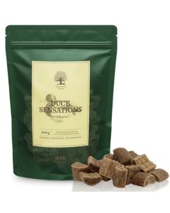 Essential: Sušeni komadići pačetine Duck Sensations, 200 gr