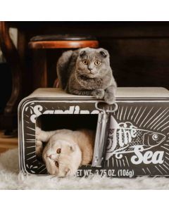 District 70: Grebalica i kućica Sardine B