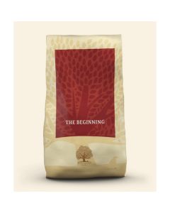 Essential: The Beginning