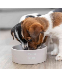 Trixie: Keramička posuda za štence Junior Ceramic Bowl Pink