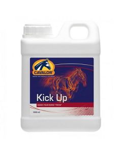 Cavalor: Preparat za konje sa lošom kondicijom i formom Kick-Up, 1l