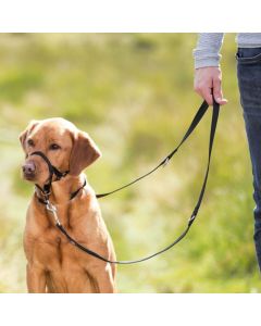 Trixie: Korpa za trening Control 