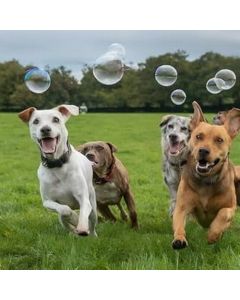 Trixie: Mehurići za igru sa mirisom slanine Bacon Bubbles, 120 ml