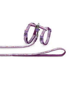 Nobby: Am i povodac za mace Love