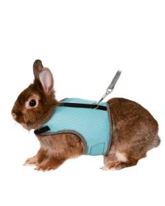 Trixie: Povodac i am za zeca, plavi