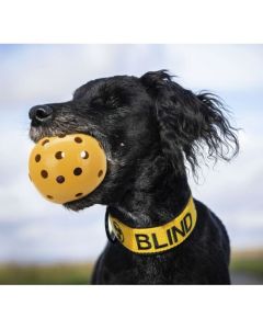 Trixie: Rupičasta loptica sa zvoncem 