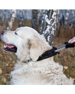 Patento Pet: Ogrlica sa integrisanim povodcem Collar Sport, crna