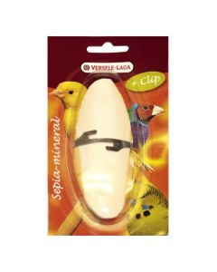 Versele Laga: Sipina kost