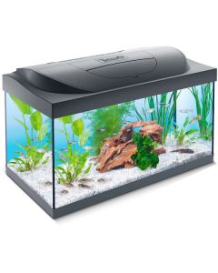 Tetra: LED Akvarijum Capt’n Sharky, 54 l