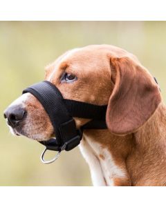 Trixie: Traka za njušku