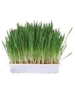 Trixie: Trava za glodare, 100 gr