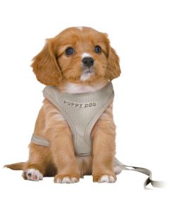 Trixie: Povodac i am za štence Puppy Soft Harness Gray