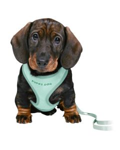 Trixie: Povodac i am za štence Puppy Soft Harness Mint