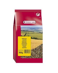 Versele Laga: Seme konoplje