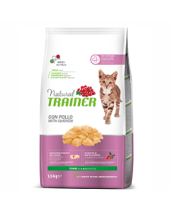 Trainer: Natural Young Cat