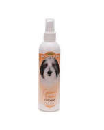 Bio Groom: Groom N' Fresh Cologne Dezodorans, 236 ml