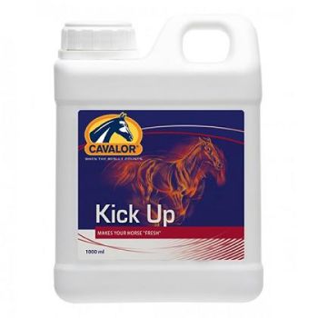 Cavalor: Preparat za konje sa lošom kondicijom i formom Kick-Up, 1l