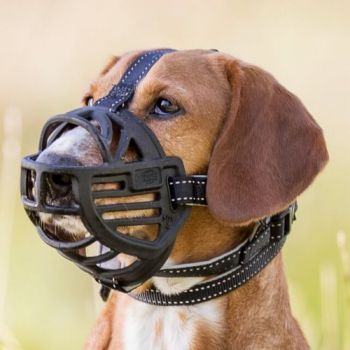 Trixie: Silikonska korpa za pse Muzzle Flex