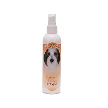 Bio Groom: Groom N' Fresh Cologne Dezodorans, 236 ml