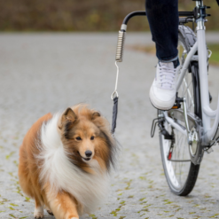 Povodac set za pse za bicikl