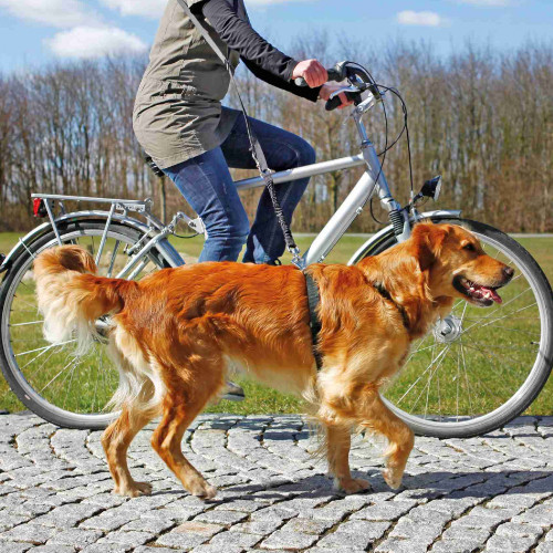 Povodac za pse za bicikl i trčanje
