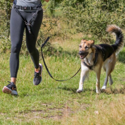 Povodac za trčanje za srednje i velike pse sa šok apsorberom