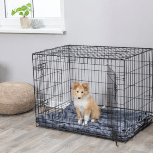 Kavezi za pse za stan